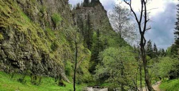 PoczątekWąwozu Homole